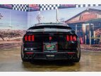 Thumbnail Photo 65 for 2017 Ford Mustang Shelby GT350 Coupe